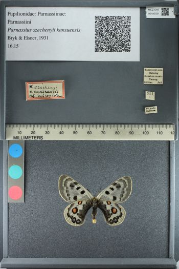 Media type: image;   Entomology 180331
